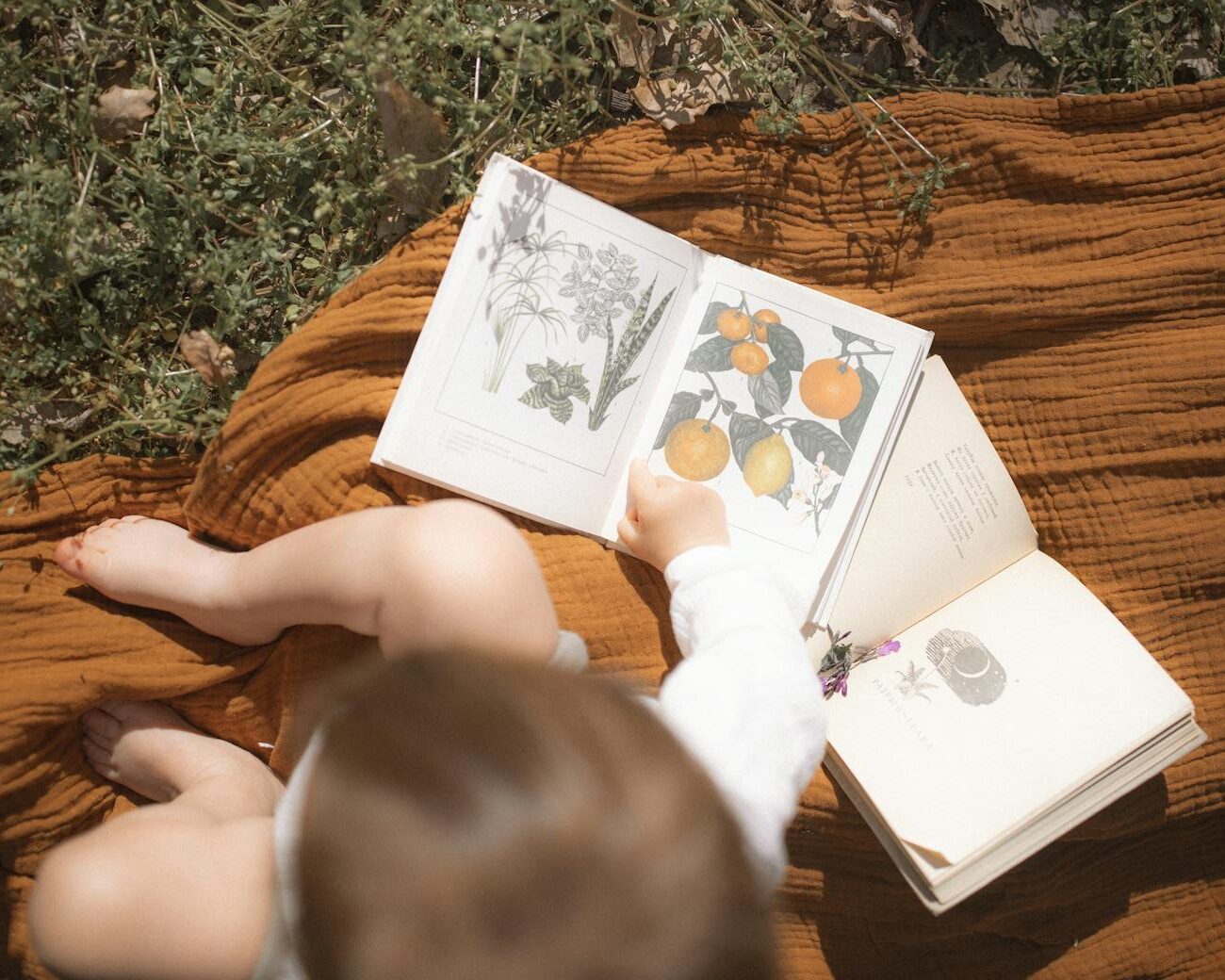 top view photo of baby sitting near open books